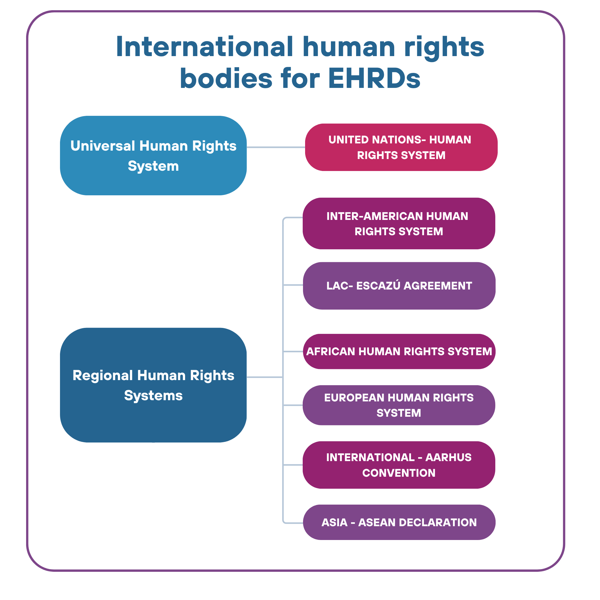 International Human Rights Mechanisms