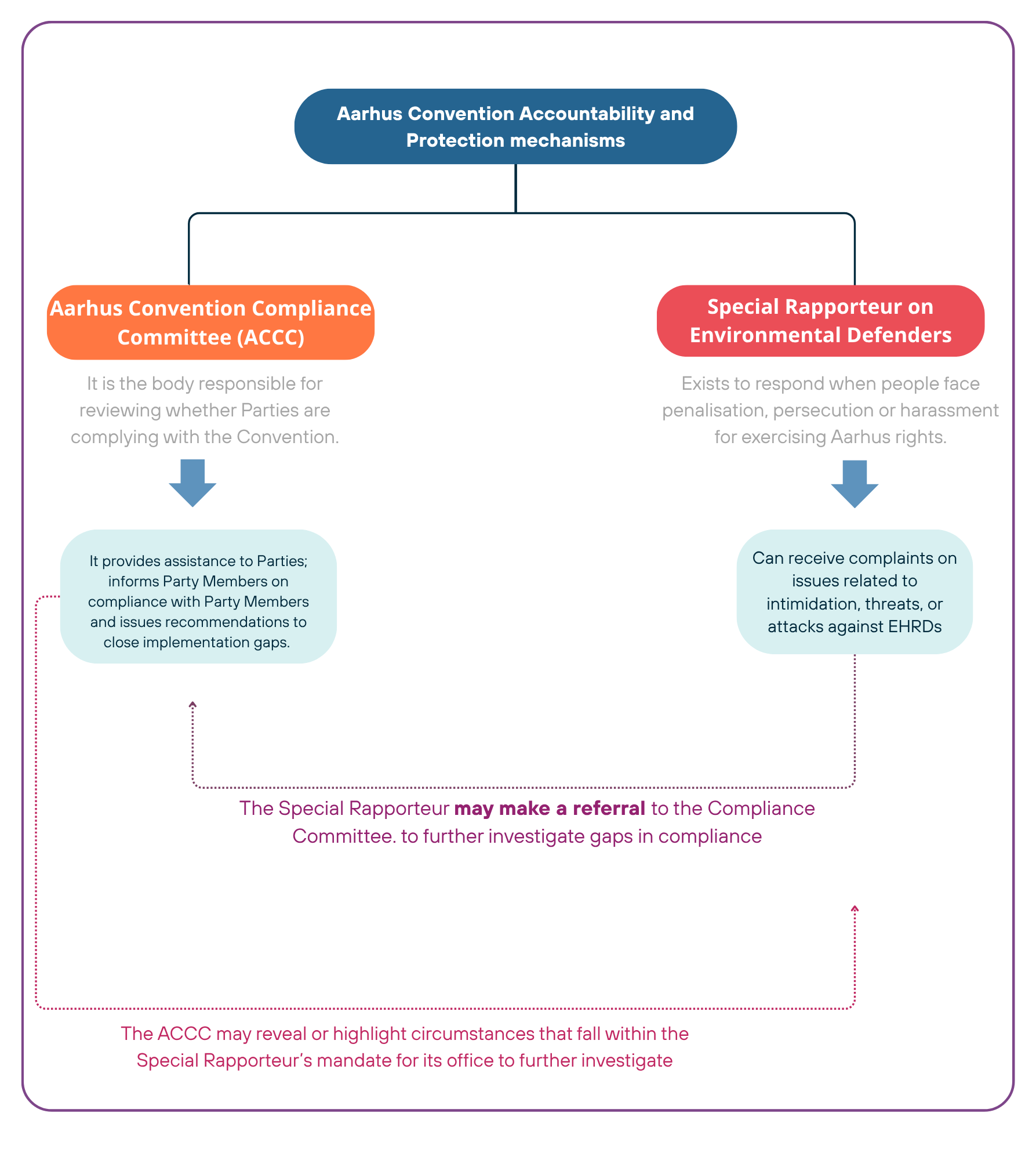 Aarhus convention mechanisms