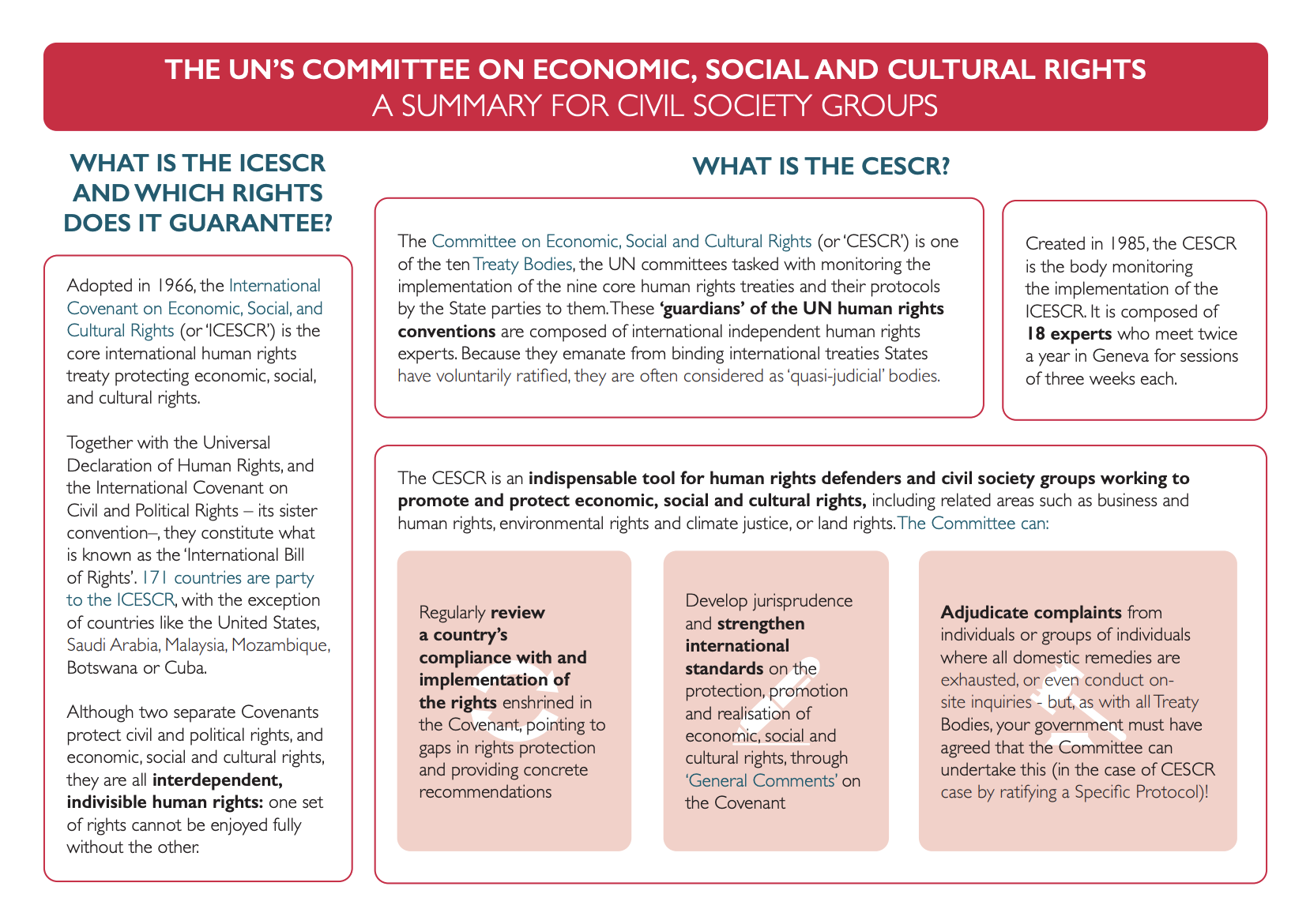 CESCR Explainer