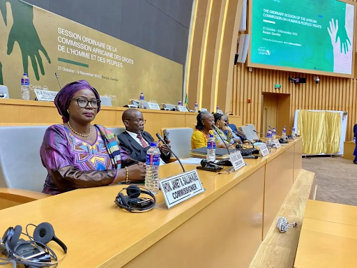 Special mechanisms of the African Commission