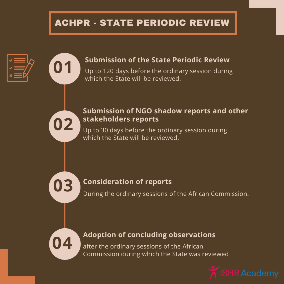 State periodic review