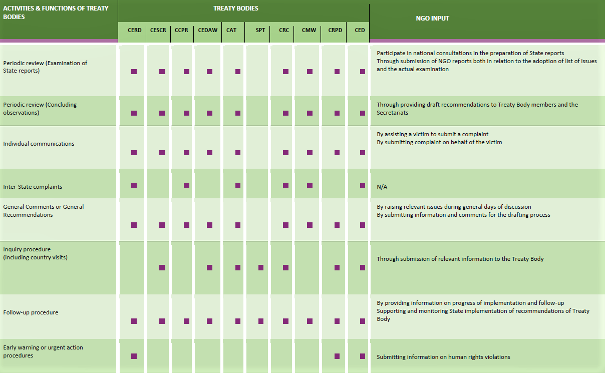 Treaty Body Activities and Functions